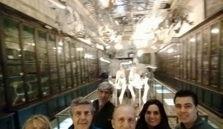 Grupo de trabajo en la Intervención en el Museo de Ciencias Naturales de La Plata. Foto Ale Marconi Todos los derechos reservados