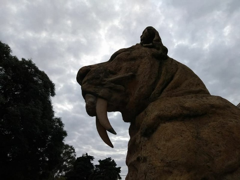 Foto: Ale Marconi. Todos los derechos reservados