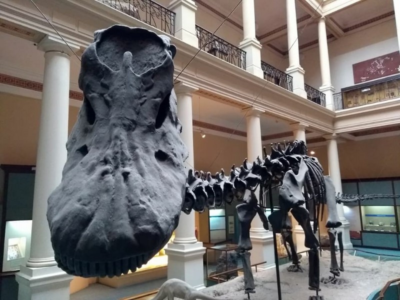 Foto: Ale Marconi. Todos los derechos reservados