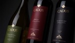 Oros. Cadus Appellation Chardonnay, Sauvignon y Malbec.