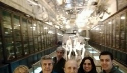 Grupo de trabajo en la Intervención en el Museo de Ciencias Naturales de La Plata. Foto Ale Marconi Todos los derechos reservados